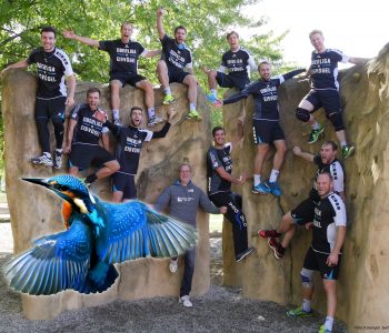 Erste Saison in der Oberliga: Das Fazit der Eisvögel